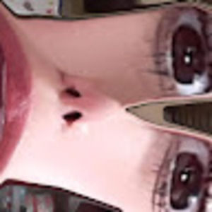 Meet your Posher, Mei